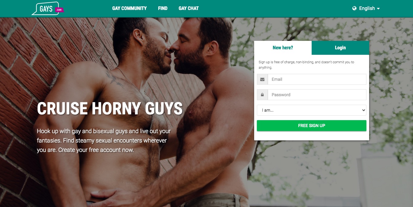 Gays.com main page